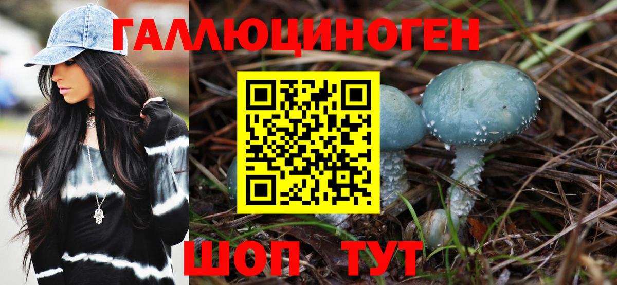 Псилоцибиновые грибы GOLDEN TEACHER  Вход с VPN  Благодарный 